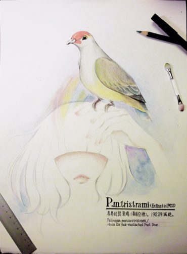 P.m.tristrami for ELLE